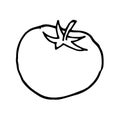 doodle tomato. Cute hand drawing garden vegetable. isolated on white background Royalty Free Stock Photo